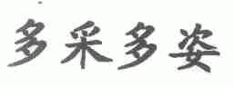 多采多姿