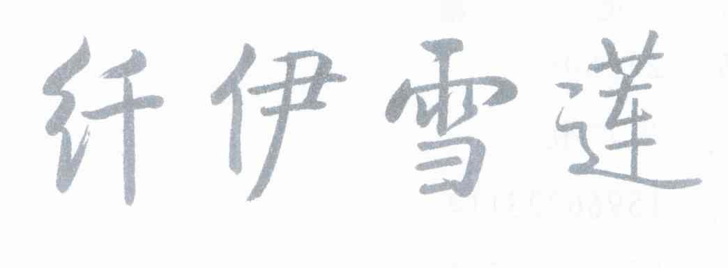 纤伊雪莲