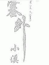 塞外小溪