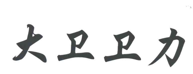 大卫卫力