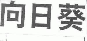 向日葵