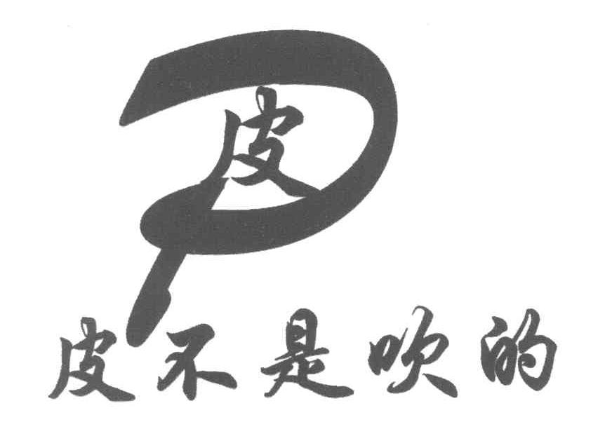 皮 皮不是吹的 P