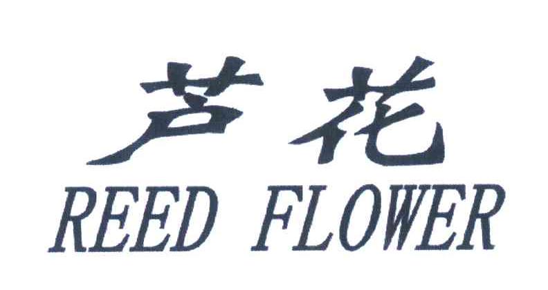 芦花 REED FLOWER