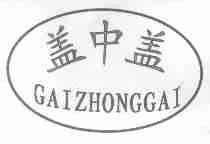 盖中盖