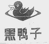 黑鸭子