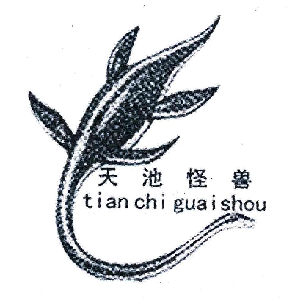 天池怪兽