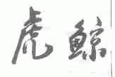 虎鲸