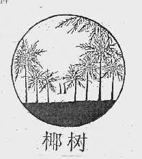 椰树