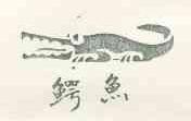 鳄鱼