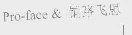 铺路飞思   PRO-FACE