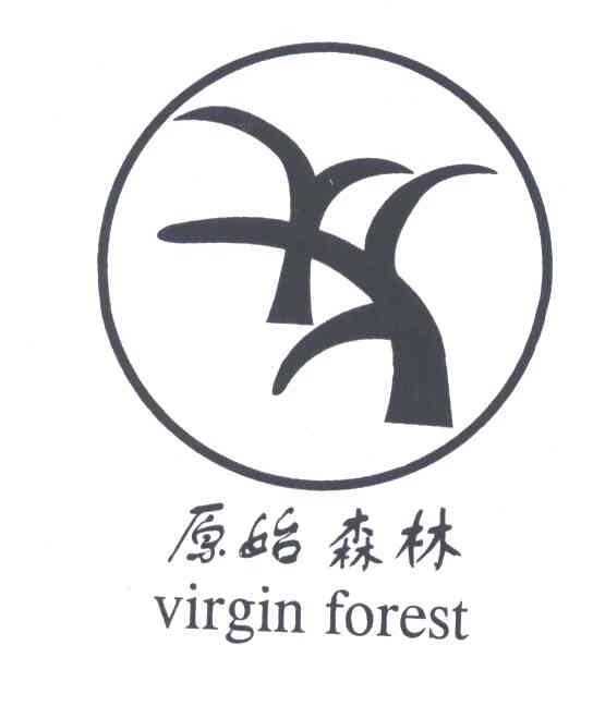 原始森林;VIRGIN FOREST