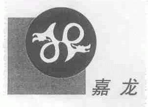 嘉龙