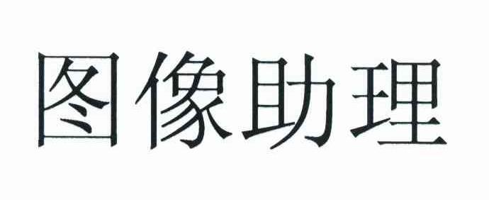 图像助理