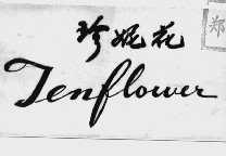 珍妮花  JENFLOWER