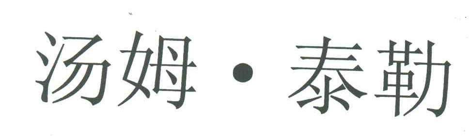 汤姆泰勒