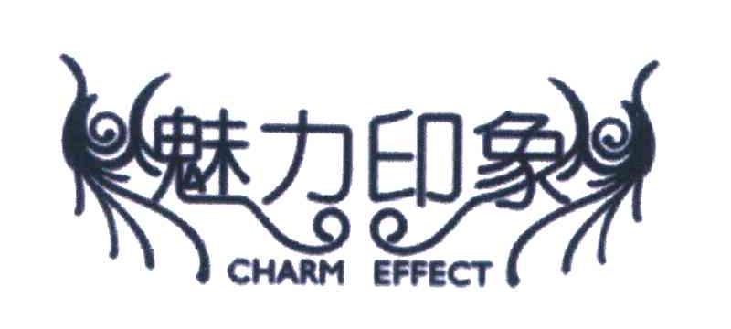 魅力印象;CHARM EFFECT