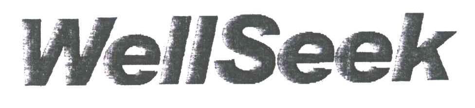 WELLSEEK