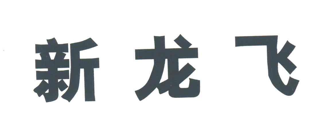 新龙飞