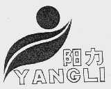 阳力