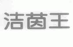 洁茵王