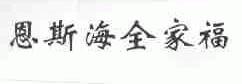 恩斯海全家福