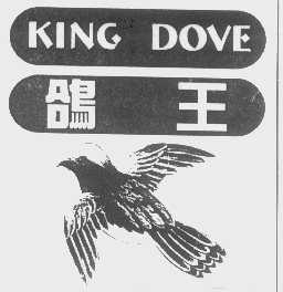 鸽王   KING DOVE