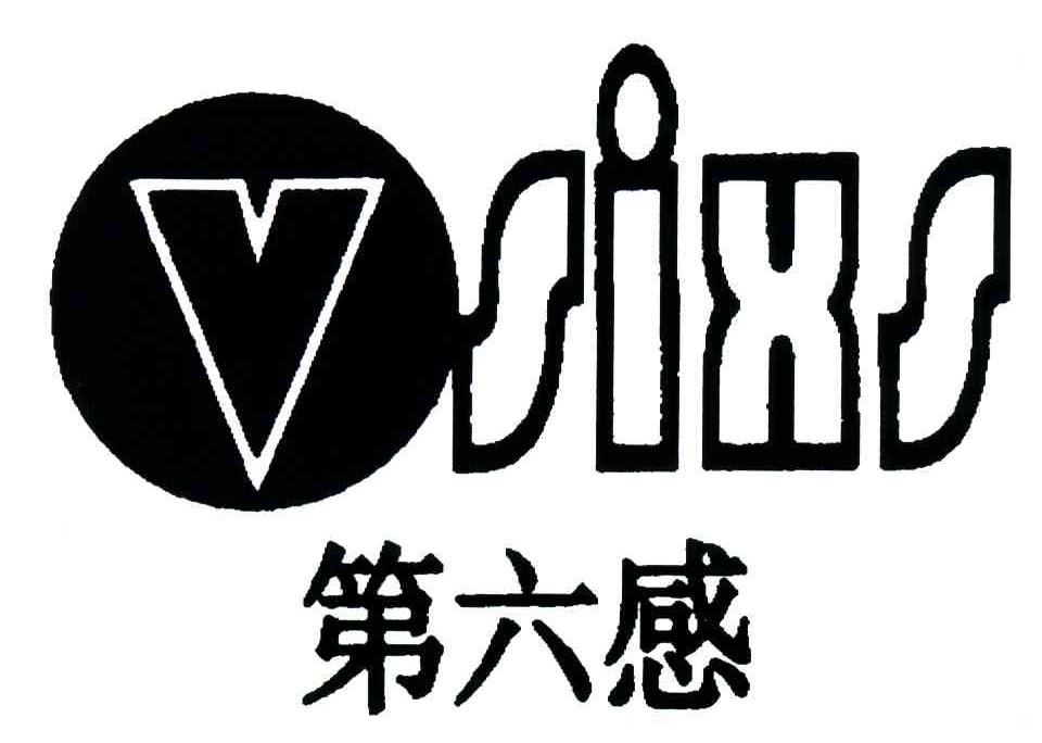 第六感;VSIXS