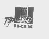 伊丽斯   IRIS