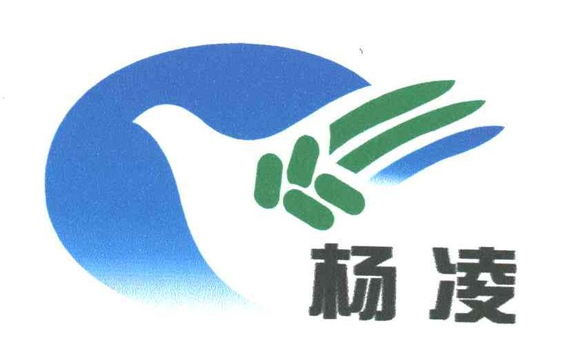杨凌