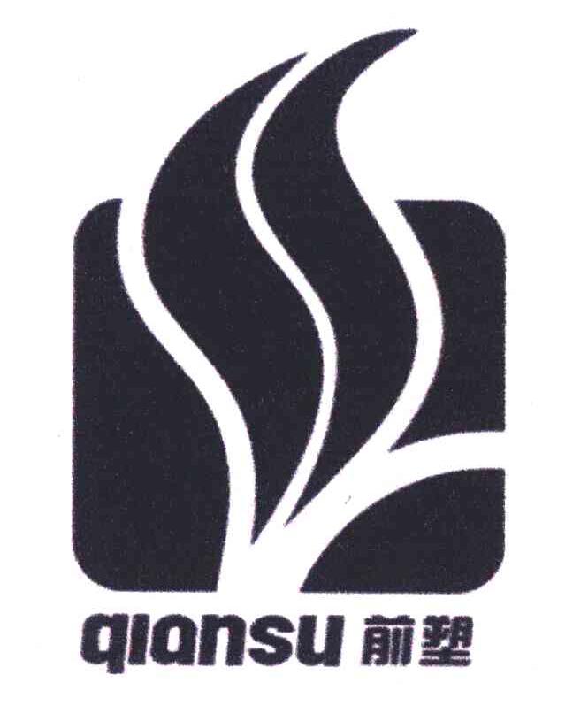 前塑