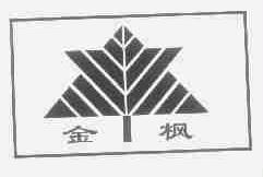 金枫