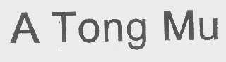 A TONG MU
