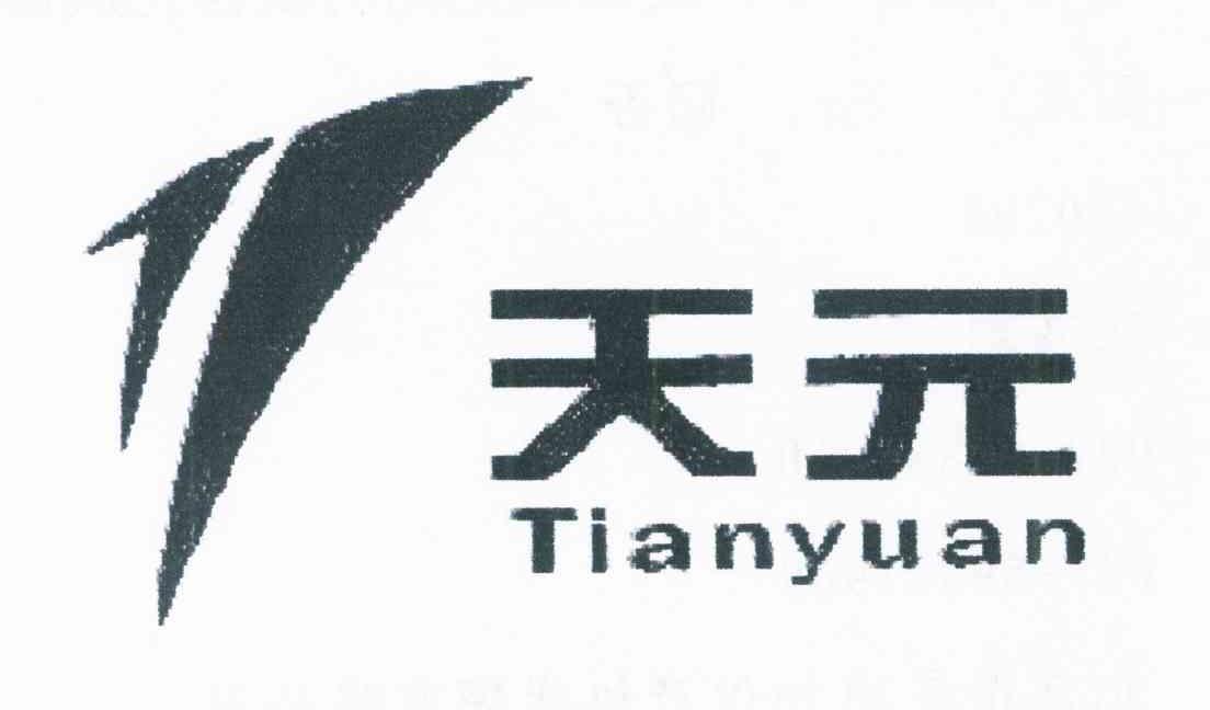 天元