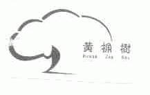黄桷树