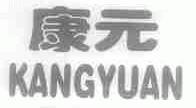 康元