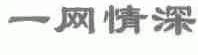 一网情深