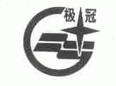 极冠