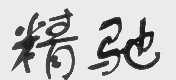 精驰