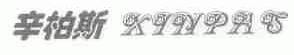 辛柏斯;XINPAS