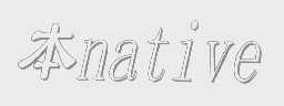 本   NATIVE