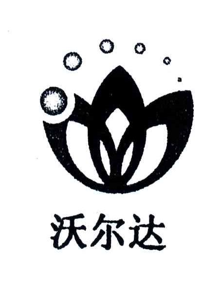 沃尔达;W
