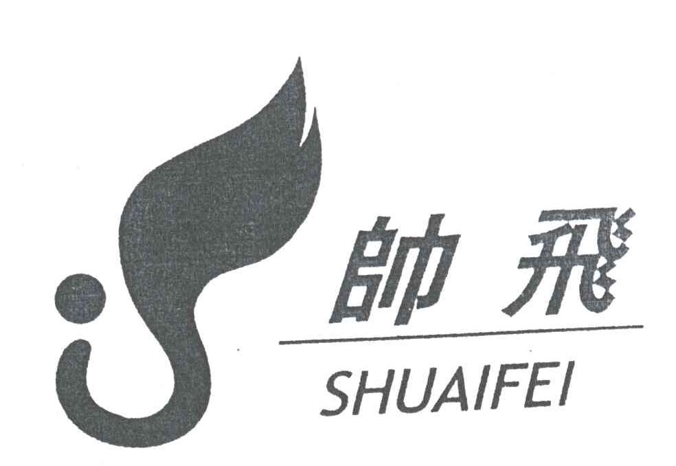 帅飞