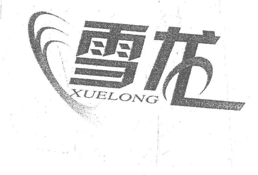 雪龙