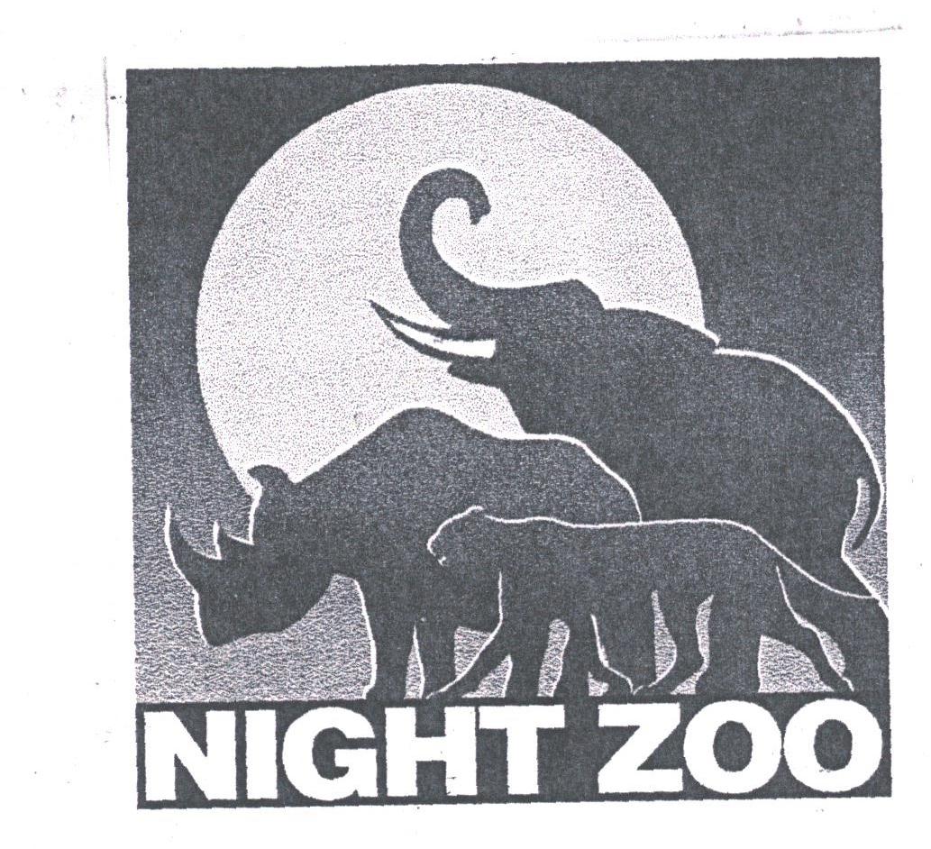 NIGHT ZOO