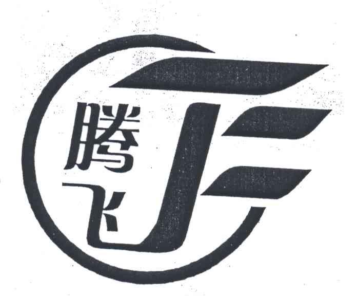 腾飞;TF