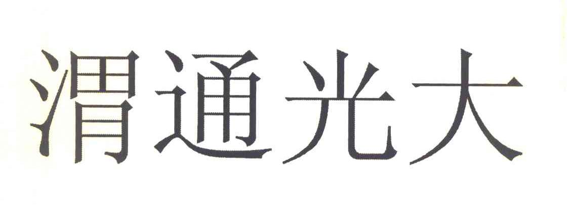 渭通光大