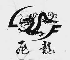飞龙