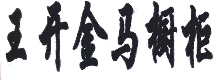 王开金马橱柜
