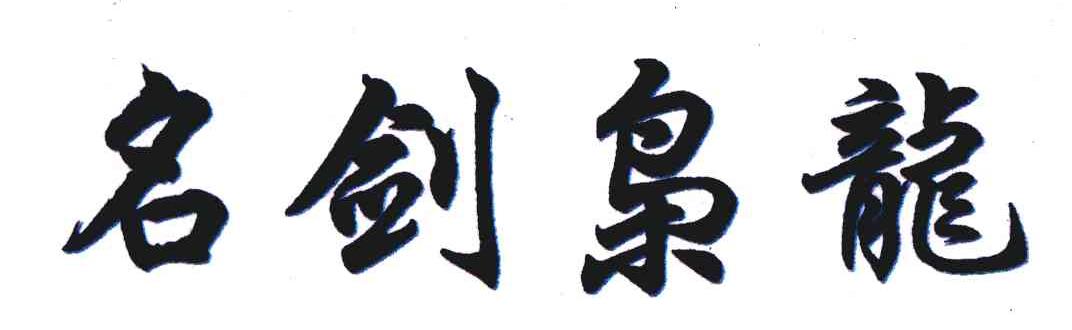 名剑枭龙