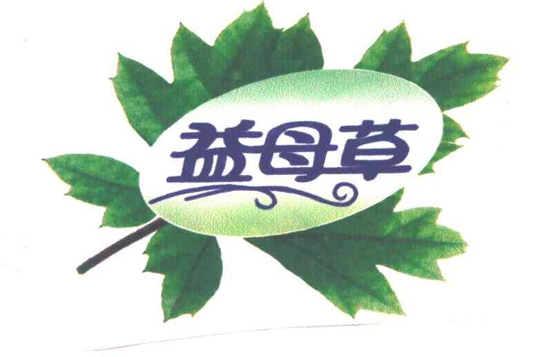益母草